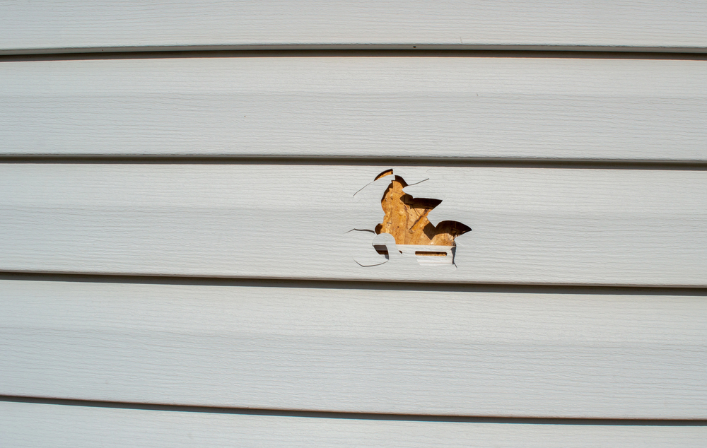 Siding Repair Close-up